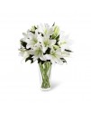 The Light In Your Honor Bouquet The Light In Your Honor Bouquet